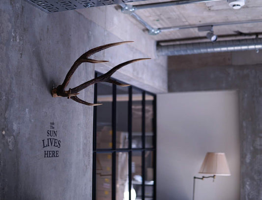 三軒茶屋FACTORY 店舗、譲渡募集のお知らせ