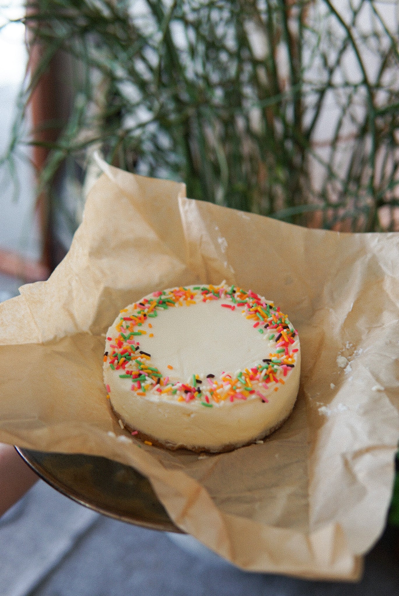 《誕生日セット》濃厚生クリームチーズケーキ12㎝