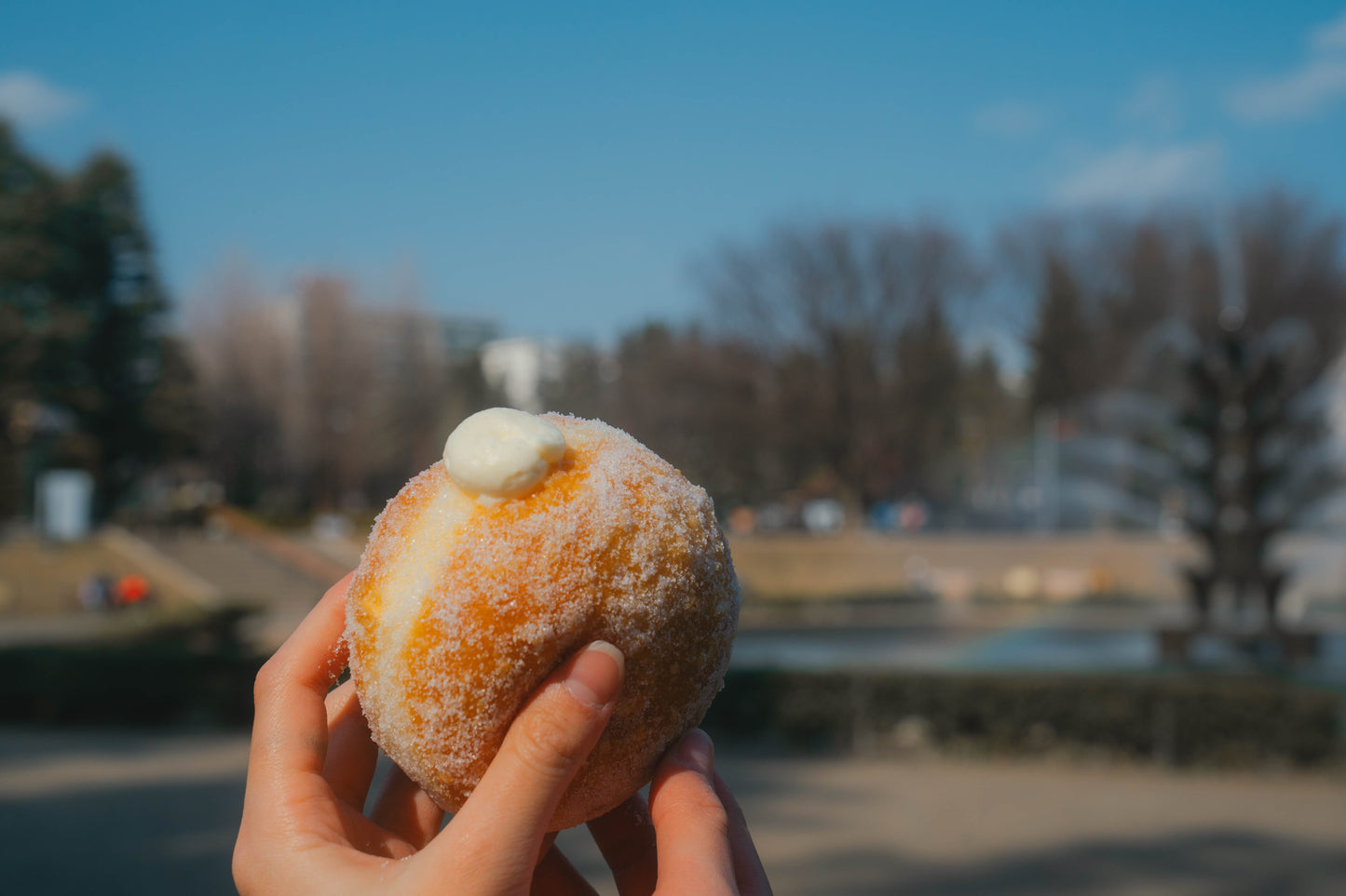 PARK SIDE DONUTS(パークサイドドーナツ)プレーン3個BOX