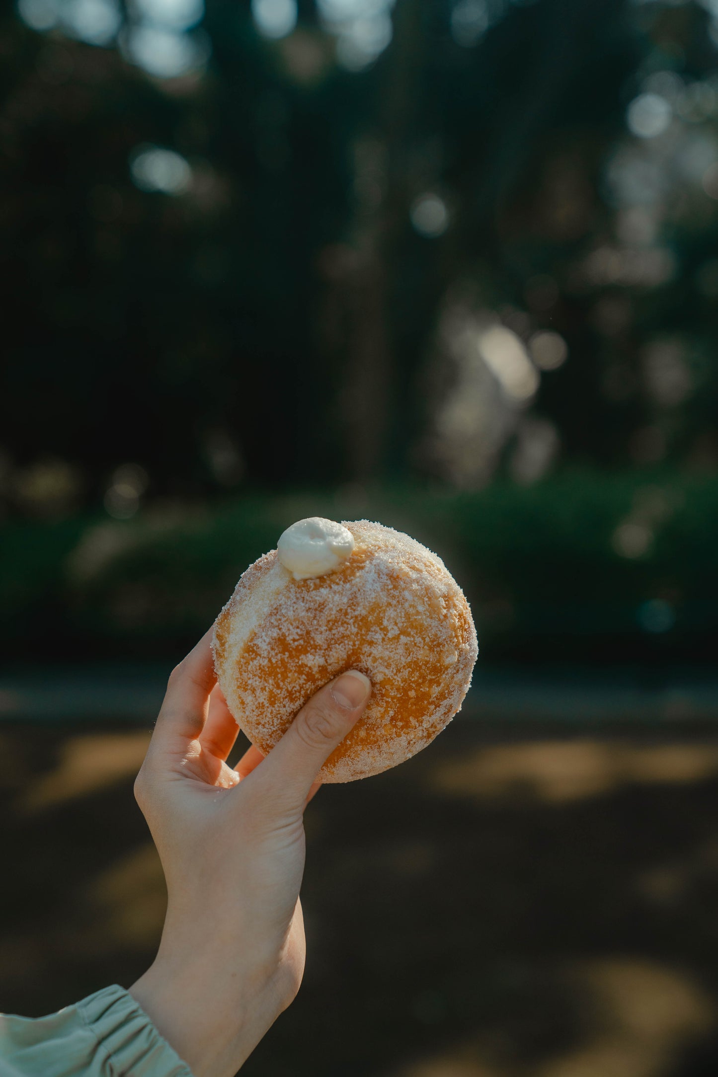 PARK SIDE DONUTS(パークサイドドーナツ)プレーン3個BOX