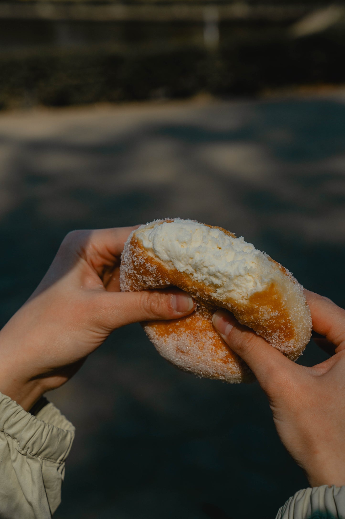 PARK SIDE DONUTS(パークサイドドーナツ)チーズ&チョコ6個BOX