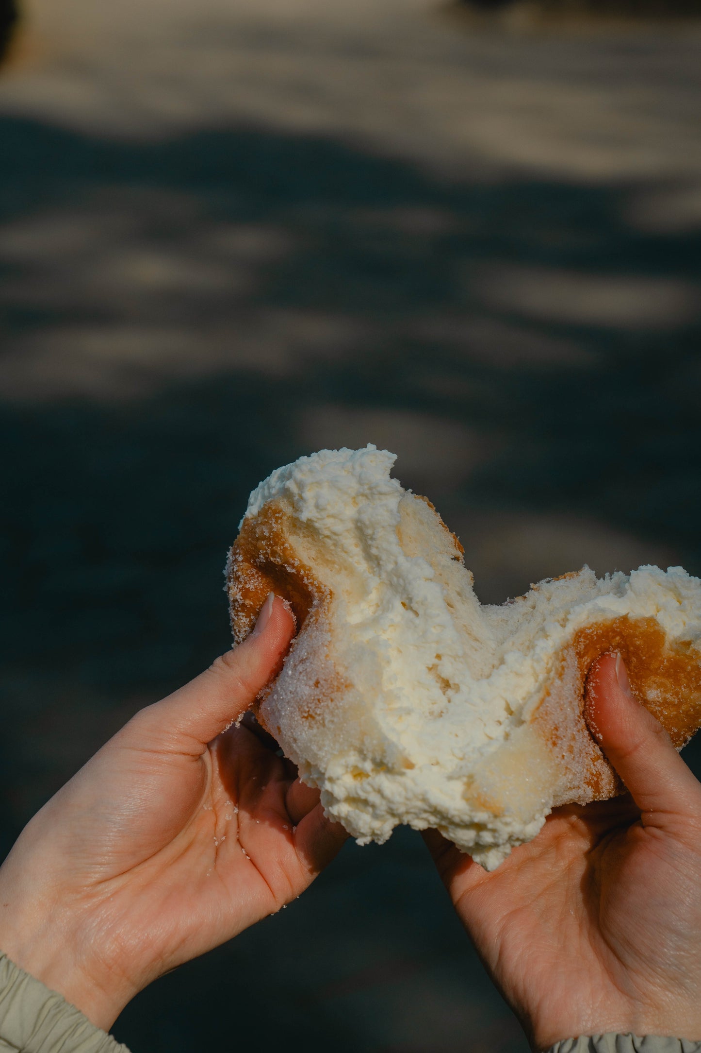 PARK SIDE DONUTS(パークサイドドーナツ)チーズ&チョコ6個BOX