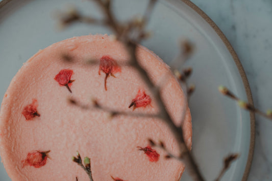 三軒茶屋で春を味わう。桜NYチーズケーキ、はじまります