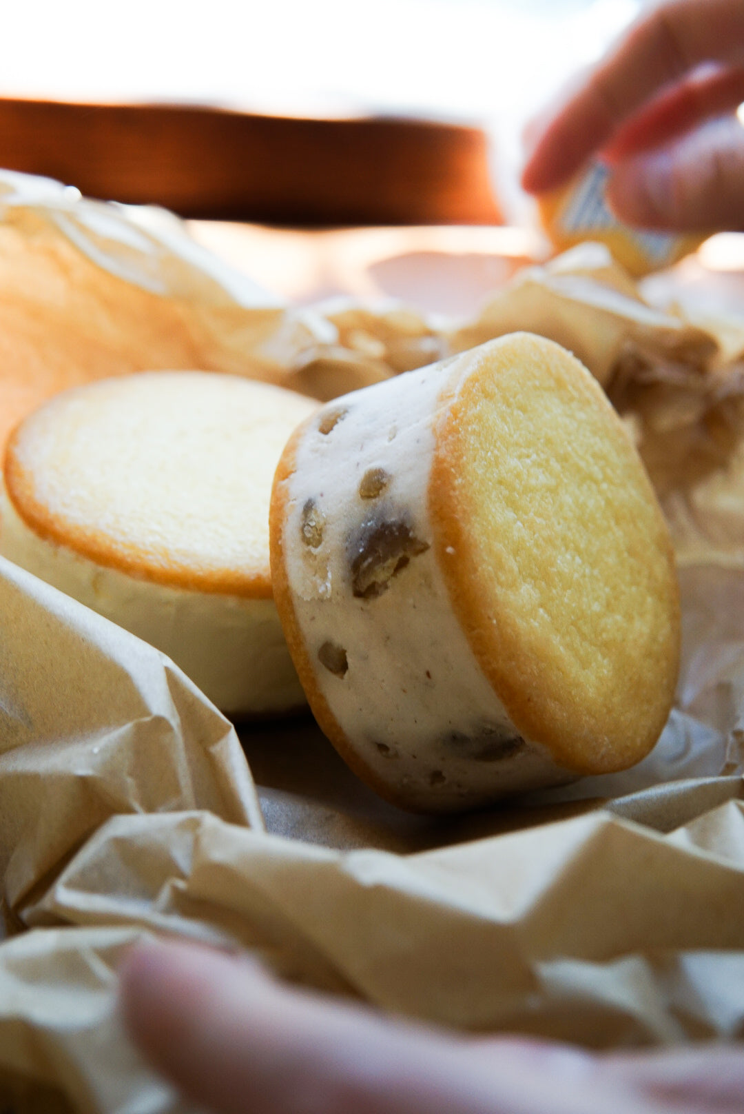 【秋冬限定】チーケーサンド マロン/プレーン 4個入