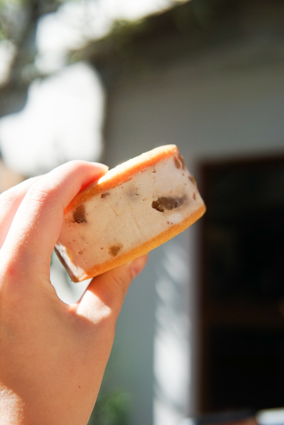 【秋冬限定】チーケーサンド マロン/プレーン 4個入