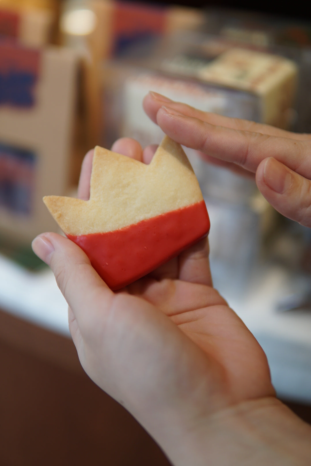 FAVORITE COLOR COOKIES  5枚セット (巾着バック付き)