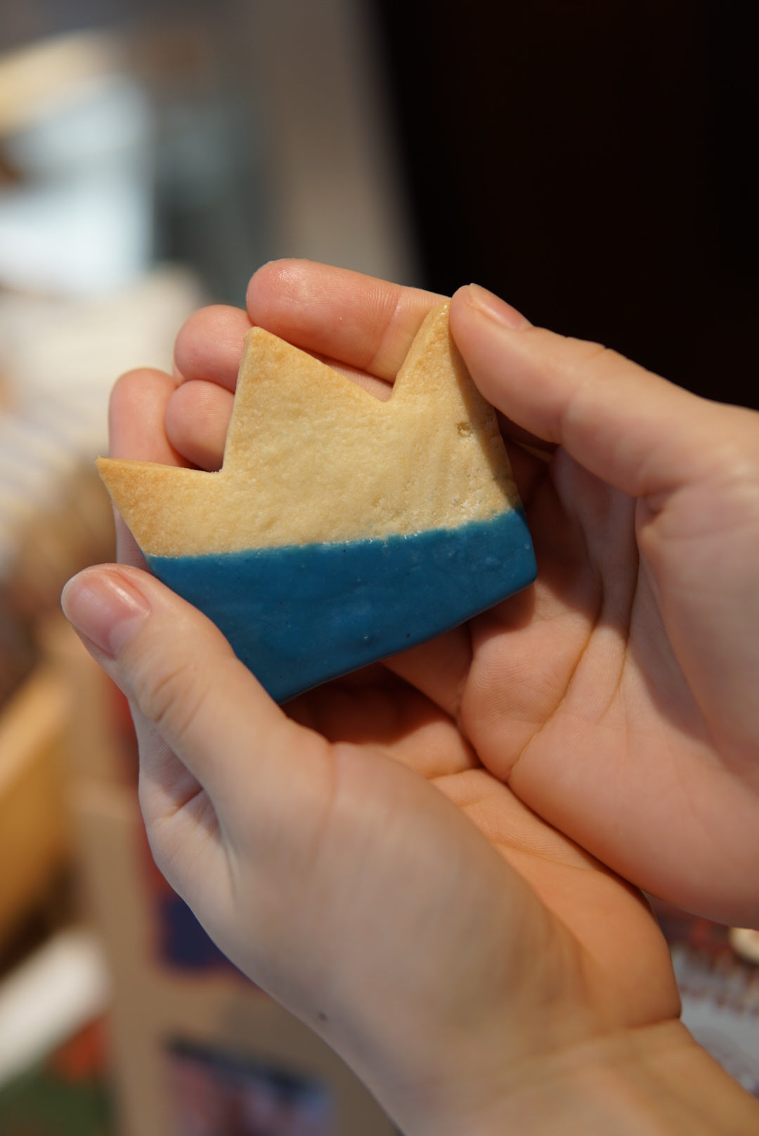 FAVORITE COLOR COOKIES  5枚セット (巾着バック付き)