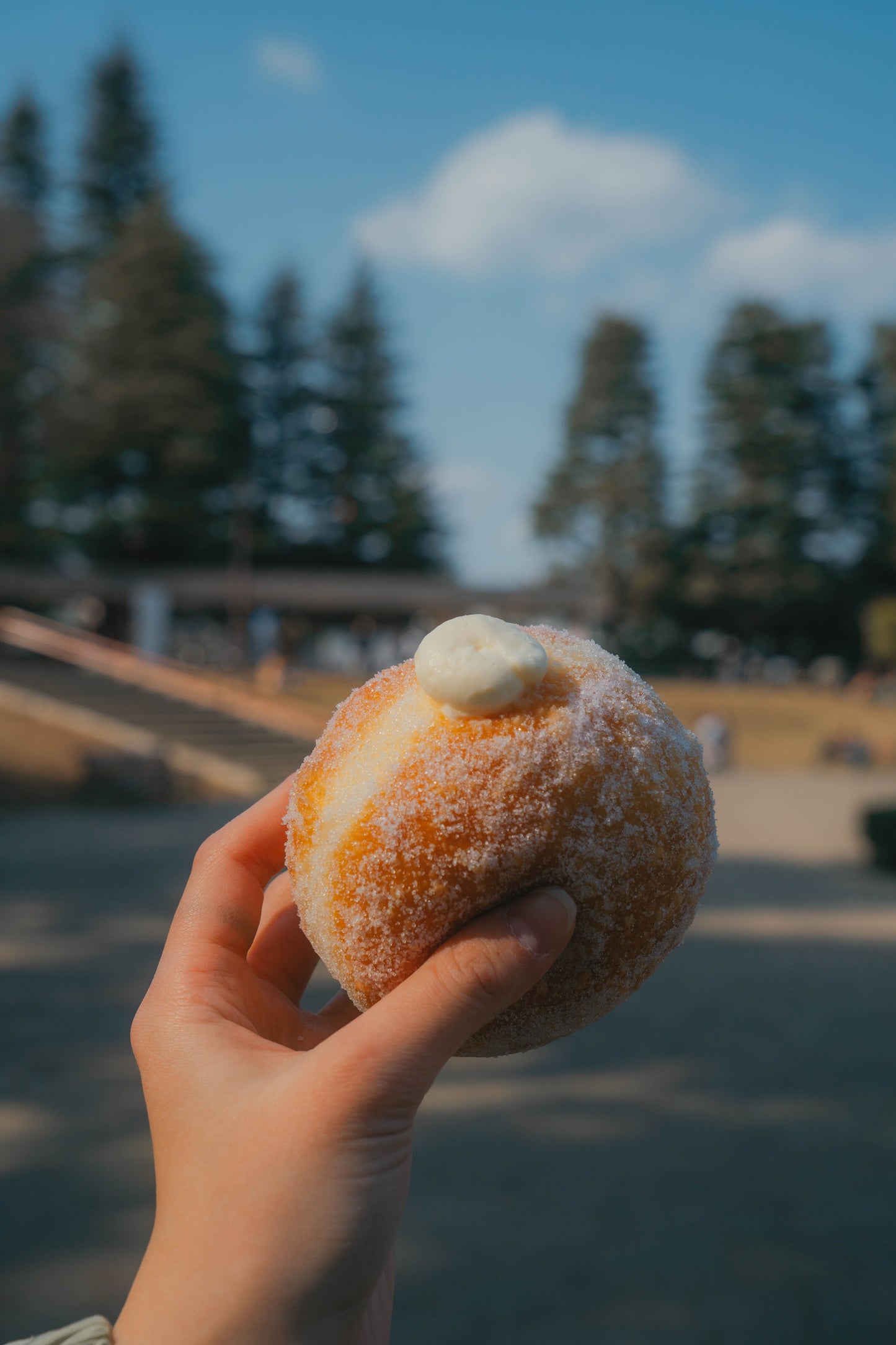 PARK SIDE DONUTS（パークサイドドーナツ）チーズ＆チョコ6個BOX