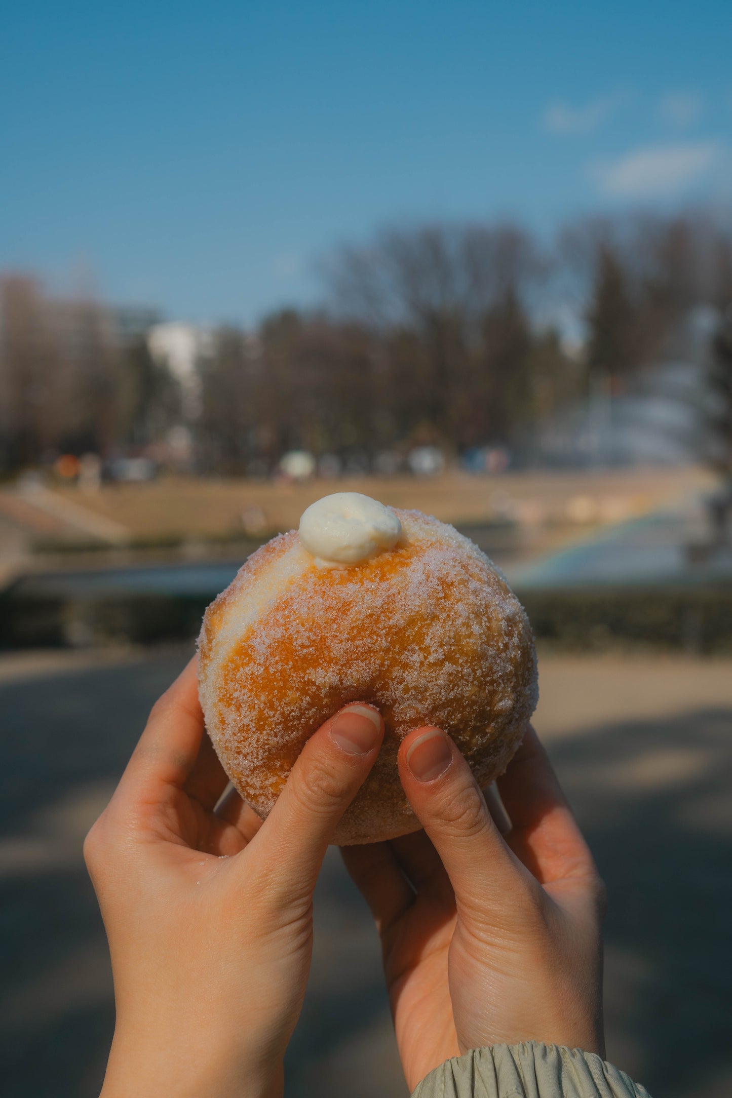 PARK SIDE DONUTS（パークサイドドーナツ）チーズ＆チョコ6個BOX