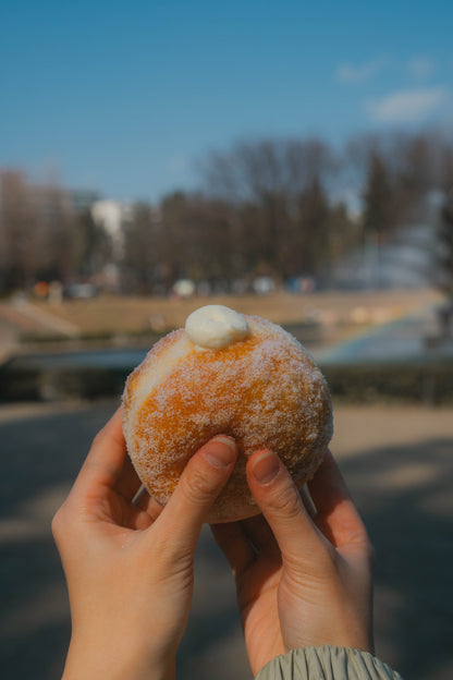 PARK SIDE DONUTS（パークサイドドーナツ）チーズ＆チョコ6個BOX