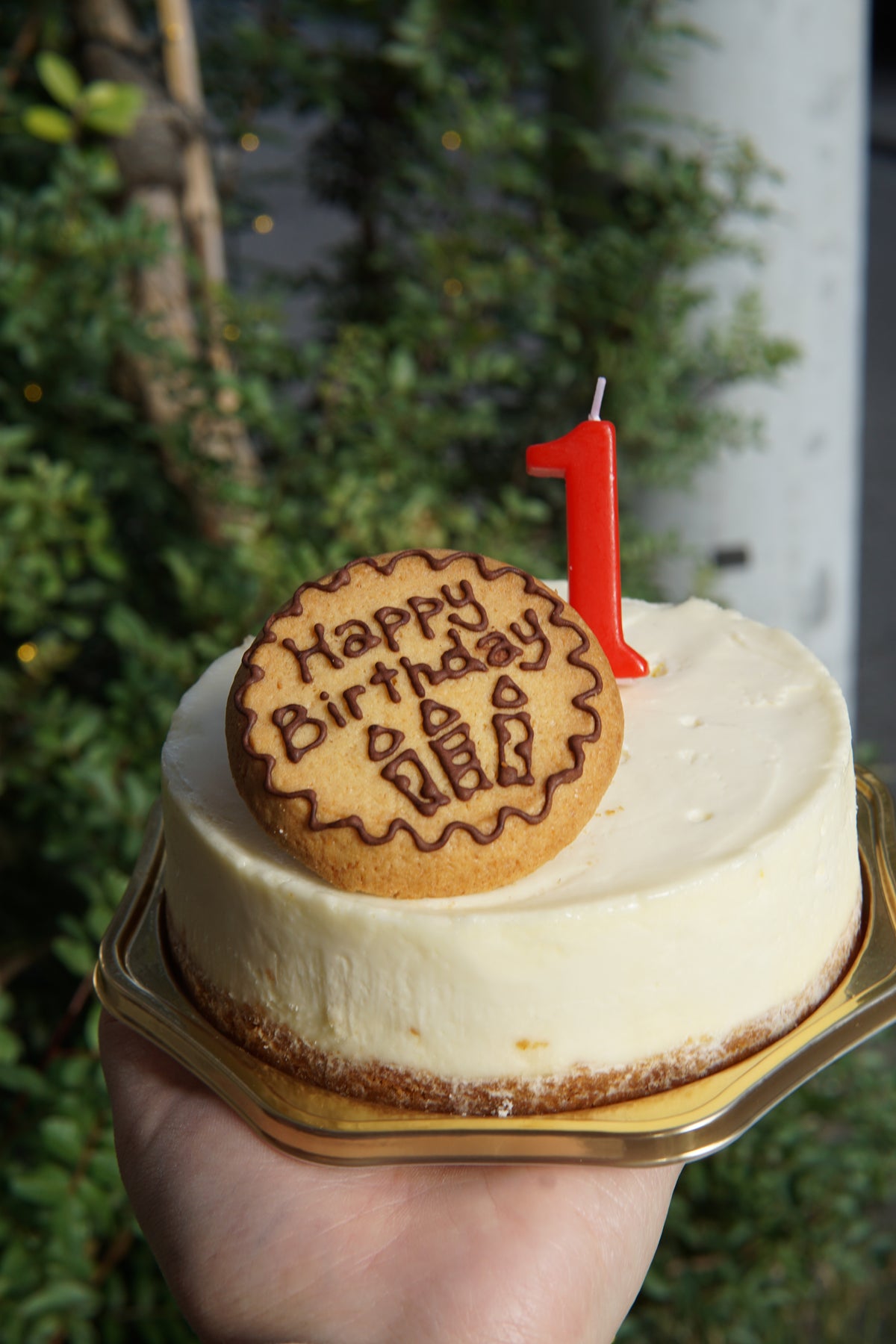 【店頭受け取り】ブルーベリーの生チーズケーキ｜12cm